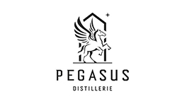 Logo 29