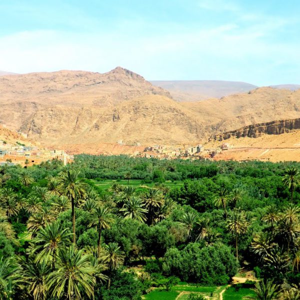 Morocco oasis photos - Morocco Fixers